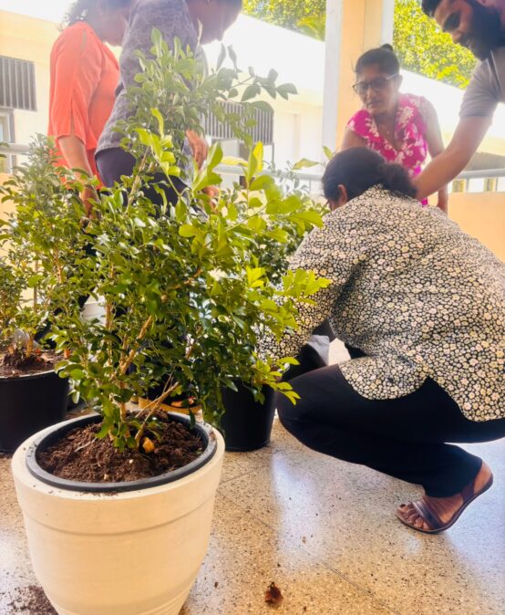 NILIS Launches a Green Activity to Mark World Environment Day 2026