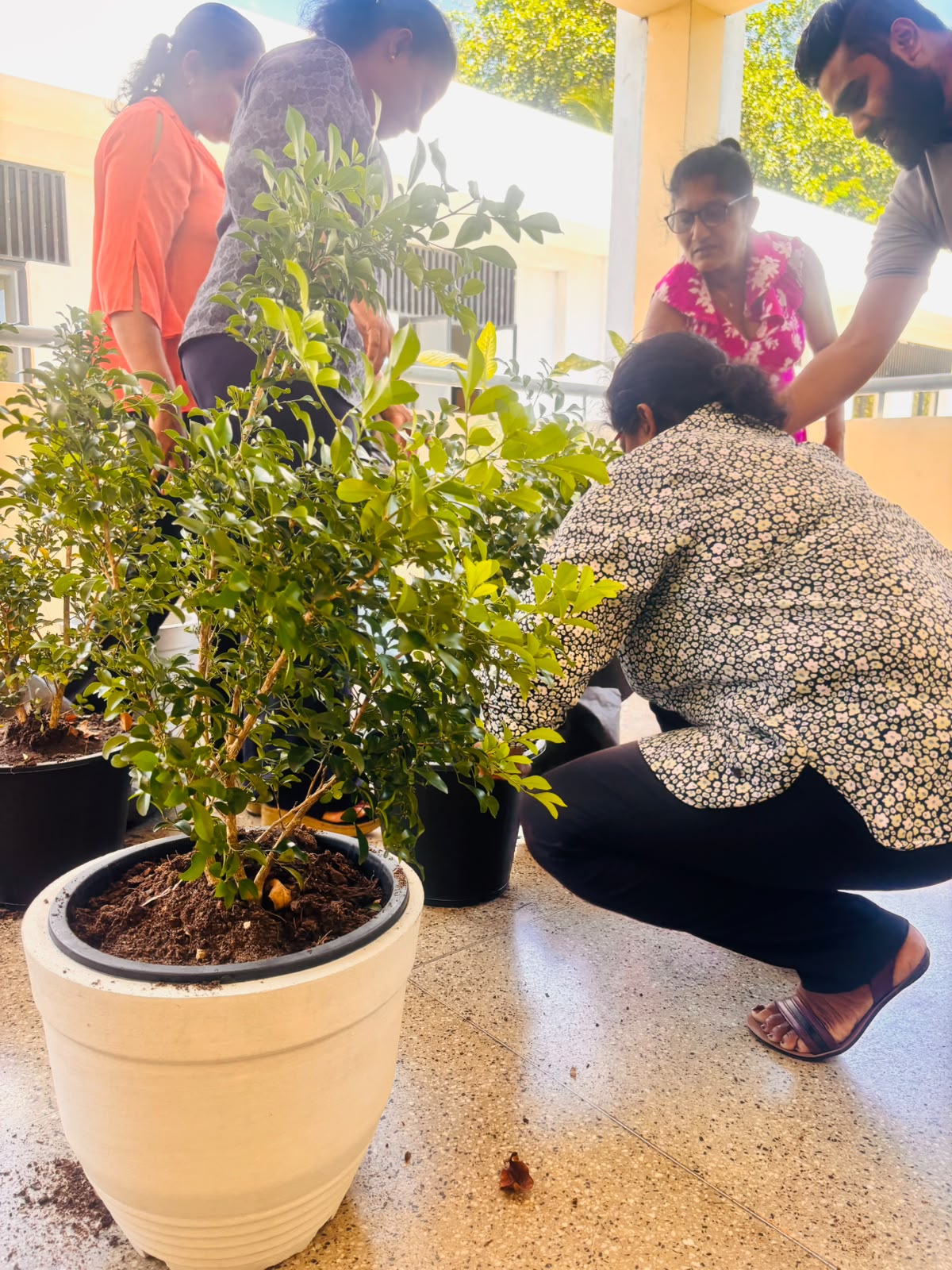 NILIS Launches a Green Activity to Mark World Environment Day 2026